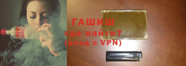 прущие грибы Лабытнанги