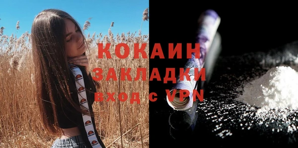 шишки Кулебаки