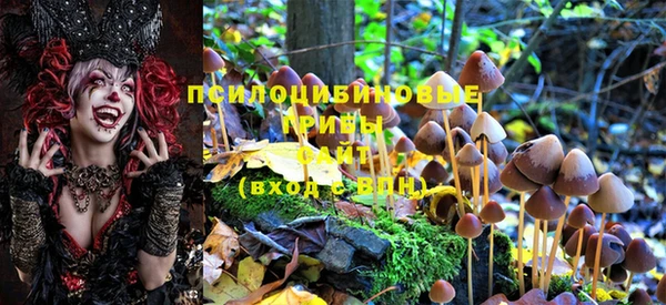 шишки Кулебаки