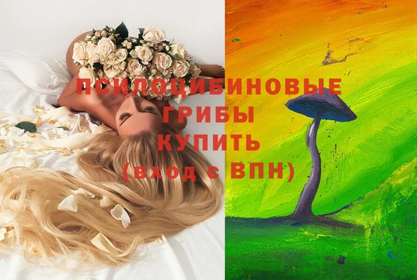 шишки Кулебаки
