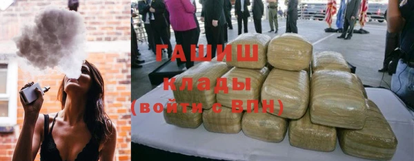 прущие грибы Лабытнанги