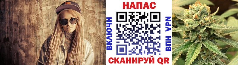 Бошки марихуана Bruce Banner  Купить где  Катайск 